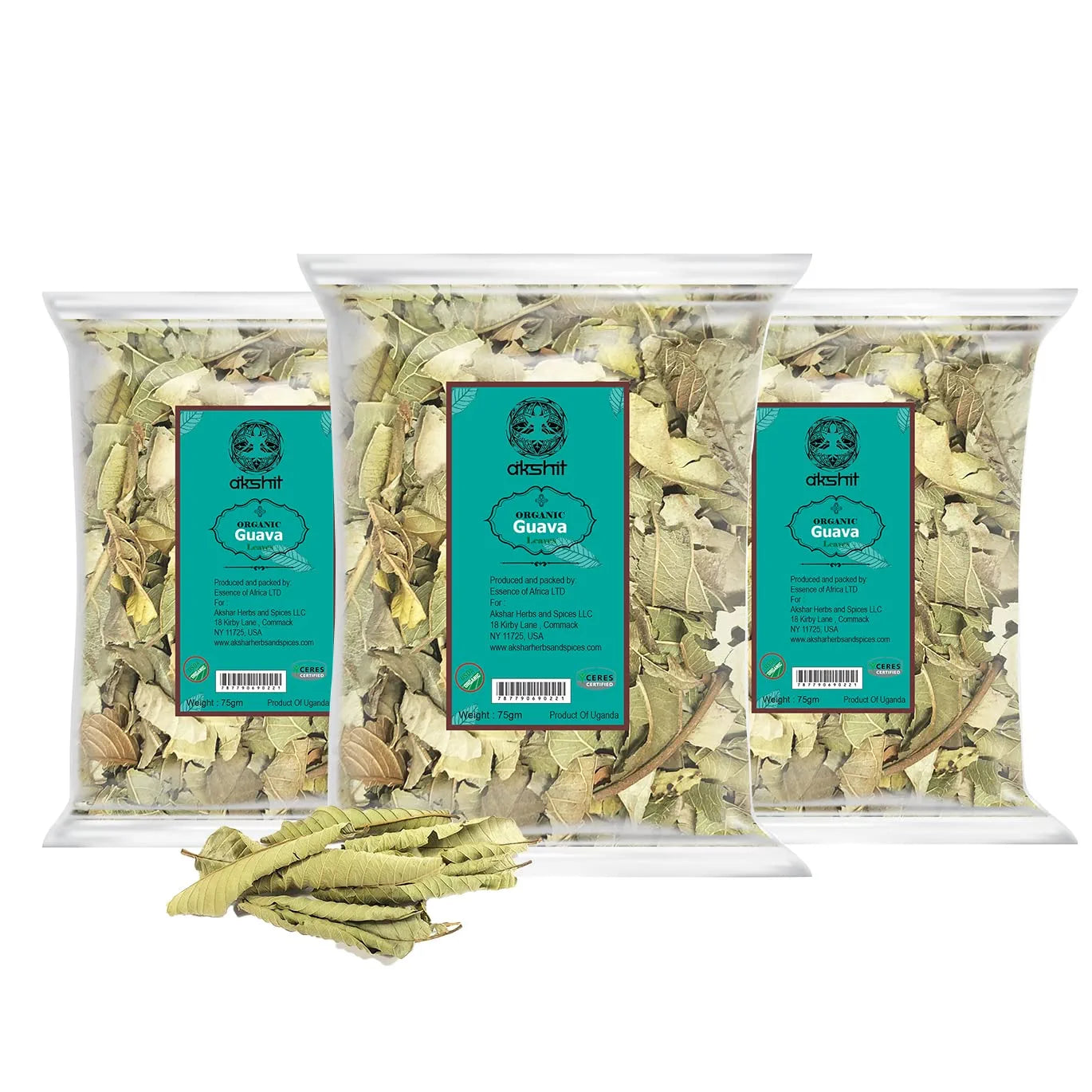 
                  
                    Dried Guava leaves | Organic Guava Leaves | Guava Leaves Tea |  Guava Leaves for sale Pack of 3 
                  
                