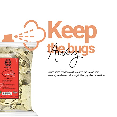 
                  
                    keep the bugs always
                  
                