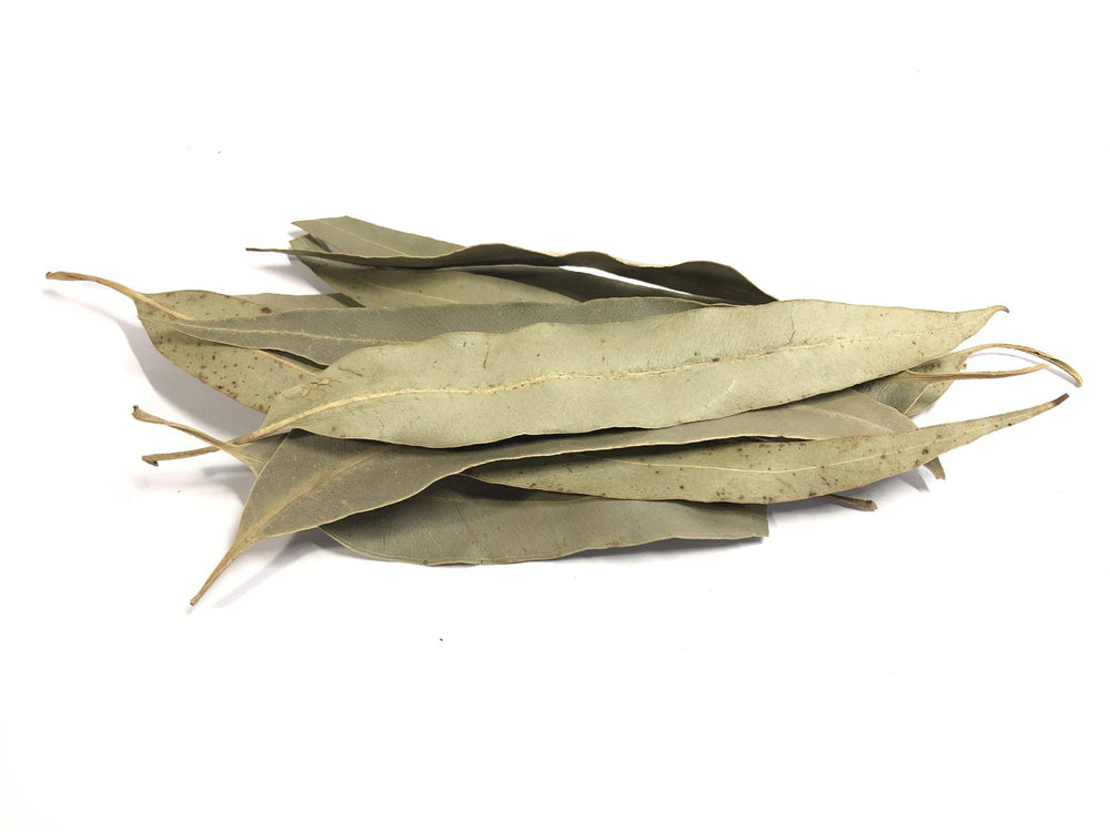 
                  
                    Dry Organic Eucalyptus leaves
                  
                