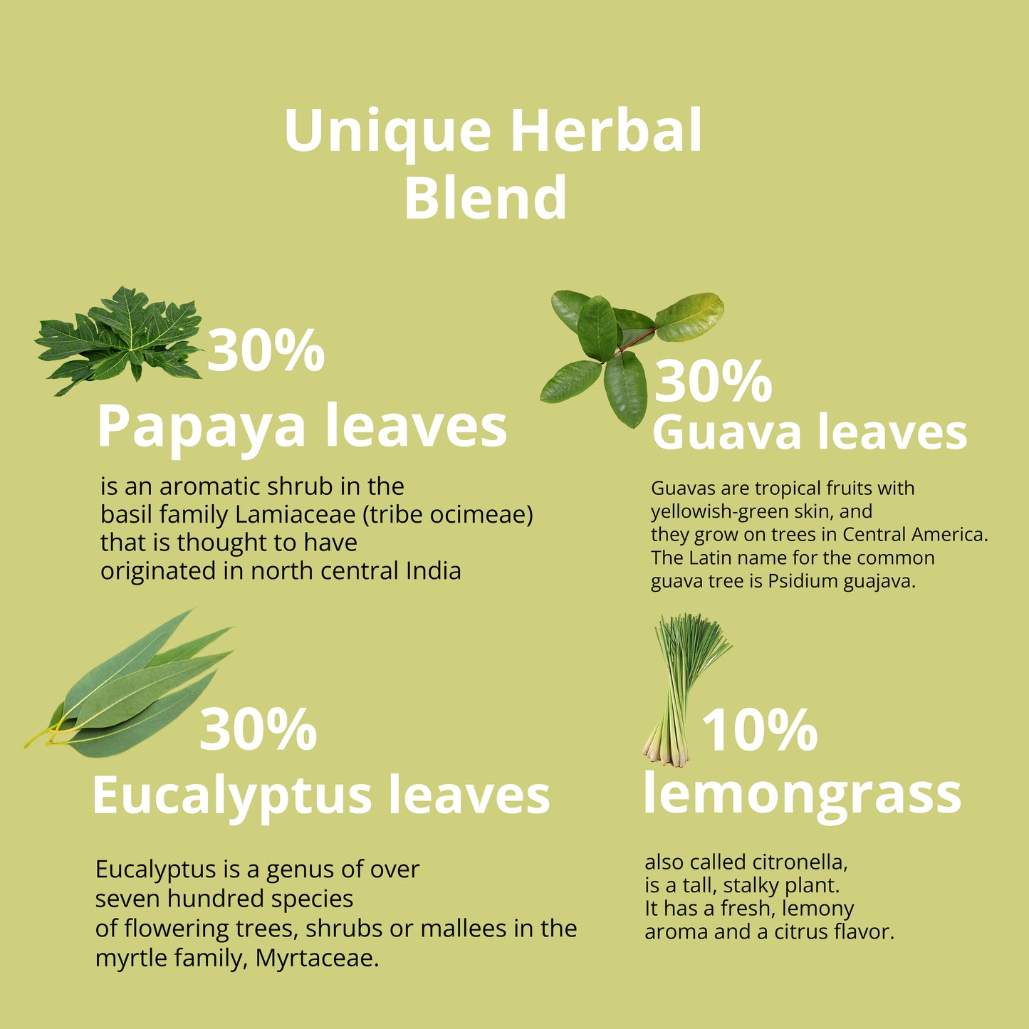 
                  
                    Unique Herbal Blend : 30% Papaya leaves , 30% Guava leaves , 30% Eucalyptus Leaves , 10% Lemongrass
                  
                