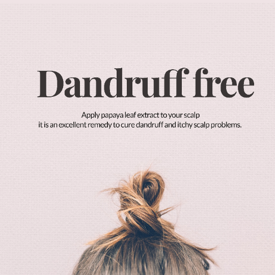 
                  
                    dandruff free
                  
                