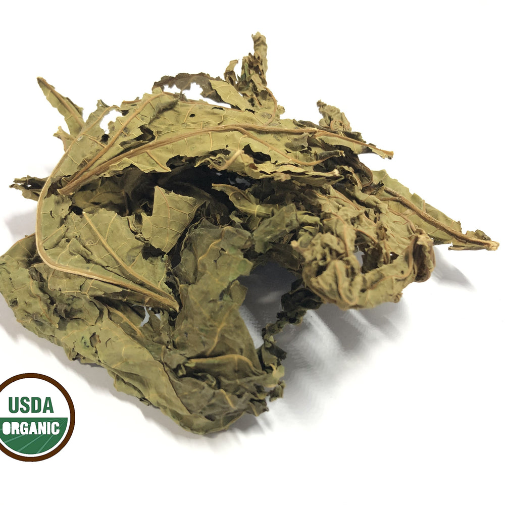 Dried Organic Papaya Green Leaves 2.4 oz - Akshar herbs and spices 