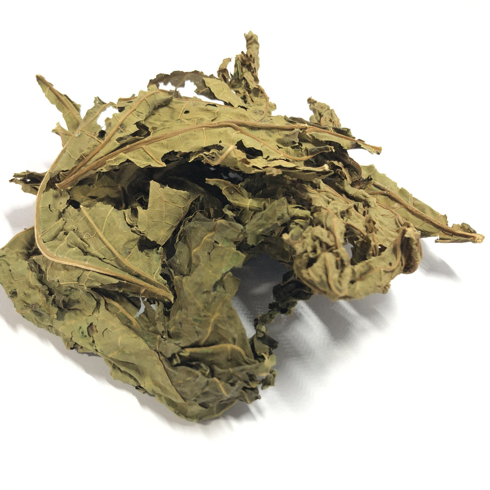 Dried Organic Papaya Green Leaves 2.4 oz - Akshar herbs and spices 