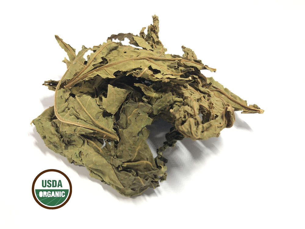 
                  
                    Dried Organic Papaya Green Leaves 2.4 oz - Akshar herbs and spices 
                  
                