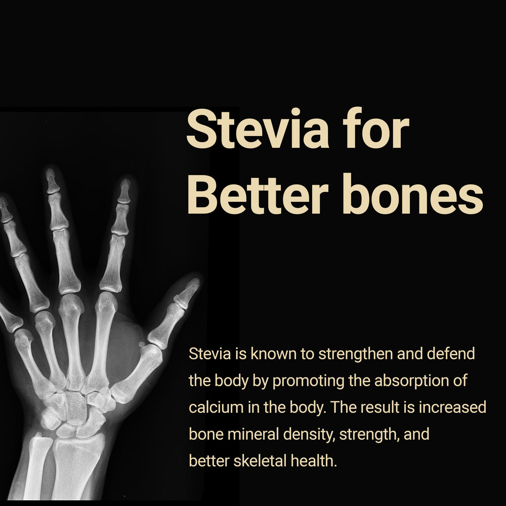 
                  
                    stevia helps to promote better bones
                  
                