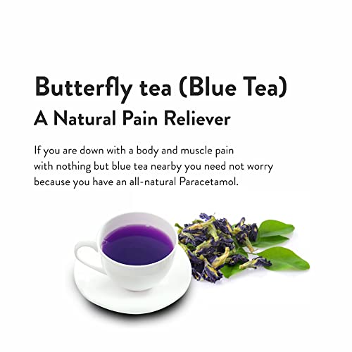 
                  
                    butterfly tea (Blue Tea) A Natural Pain Reliever. If you are down with a body and muscle pain with nothing but blue tea nearby you need not worry  because you have an all-natural Paracetamol
                  
                