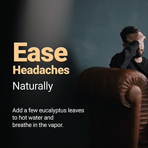 
                  
                    Ease Headaches naturally
                  
                