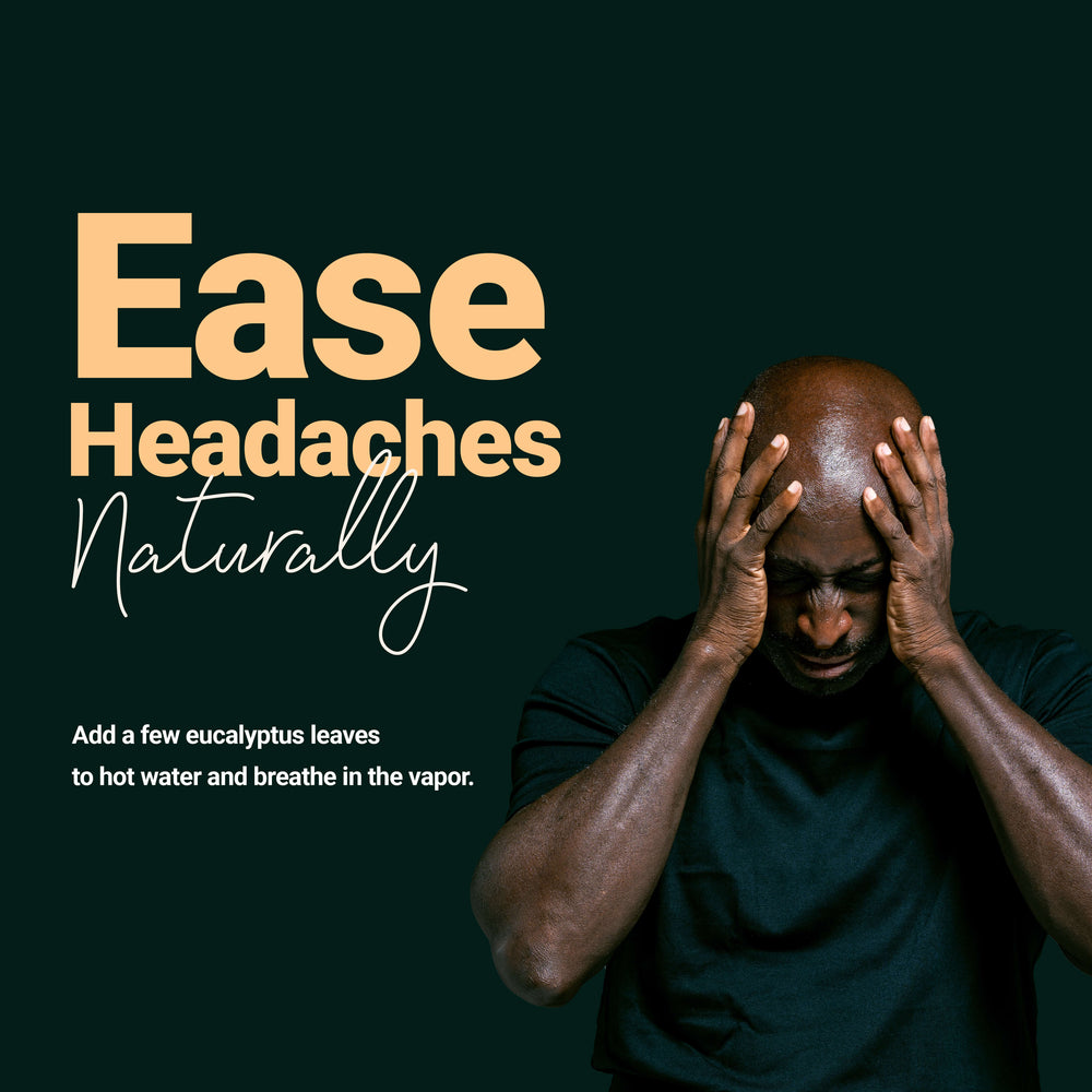
                  
                    Ease Headaches Naturally >> Add a few eucalyptus leaves to hot water and breathe in the vapor.
                  
                