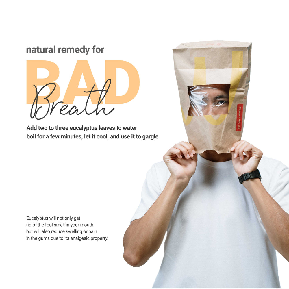 
                  
                    Natural remedy for Bad Breath | add two to three eucalyptus leaves ((hojas de eucalipto)  )to water boil for a few minutes. let it cool , and use it to gargle.
                  
                