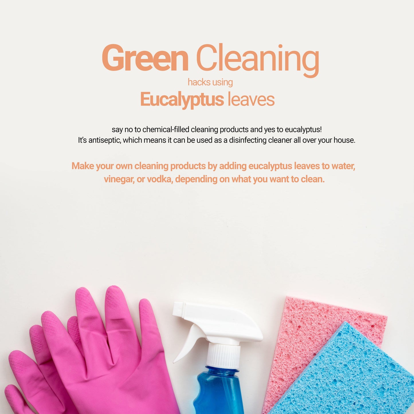 
                  
                    Dried Eucalyptus leaves | Green cleaning hacks using Eucalyptus leaves.. Make your own cleaning products by adding eucalyptus leaves to water , vinegar , or vodka, depending on what you want to clean. 
                  
                