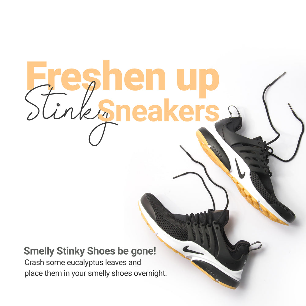 
                  
                    Organic dried eucalyptus leaves Used to chase smelly stinky shoes be gone .Freshen Up stinky sneakers
                  
                