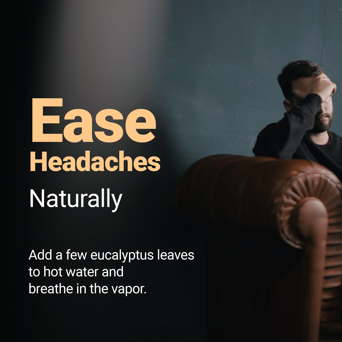 
                  
                    eucalyptus eases headaches naturally
                  
                