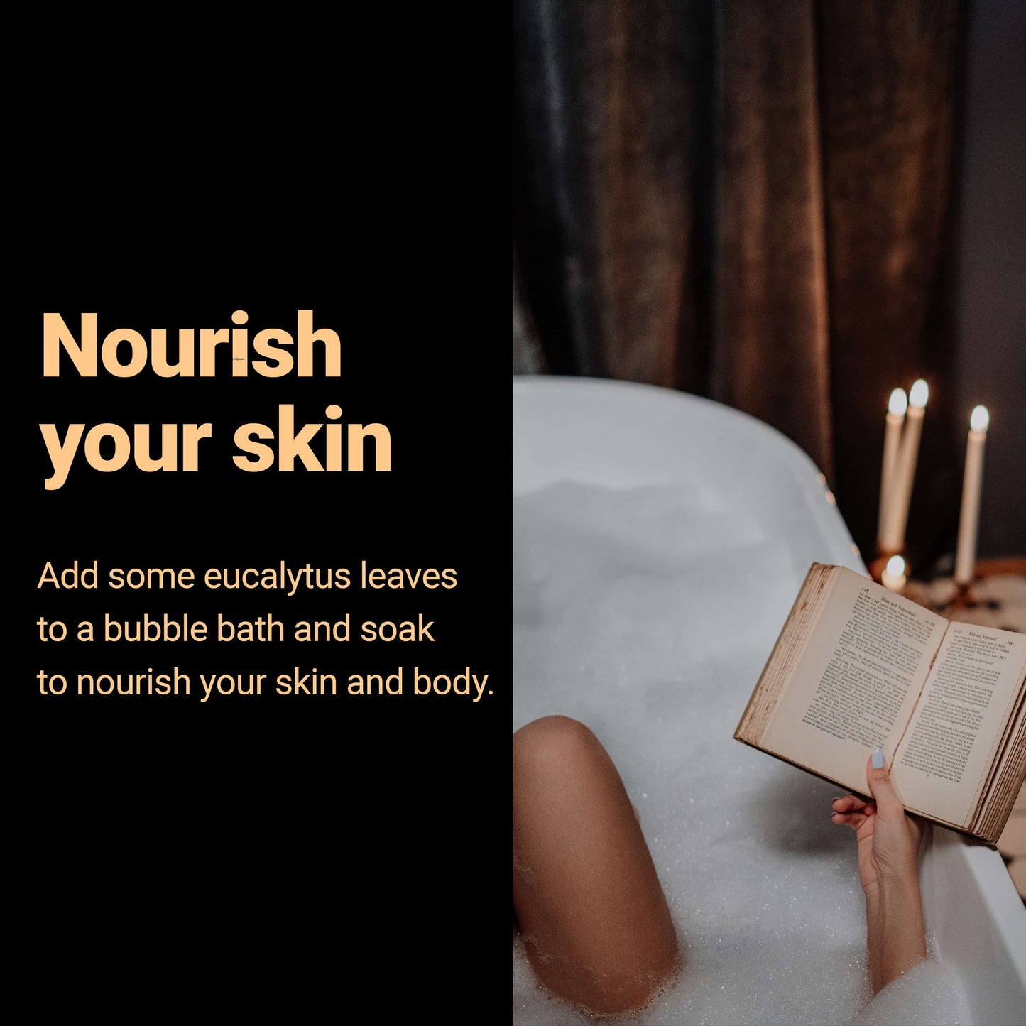
                  
                    eucalyptus leaves nourish your skin
                  
                