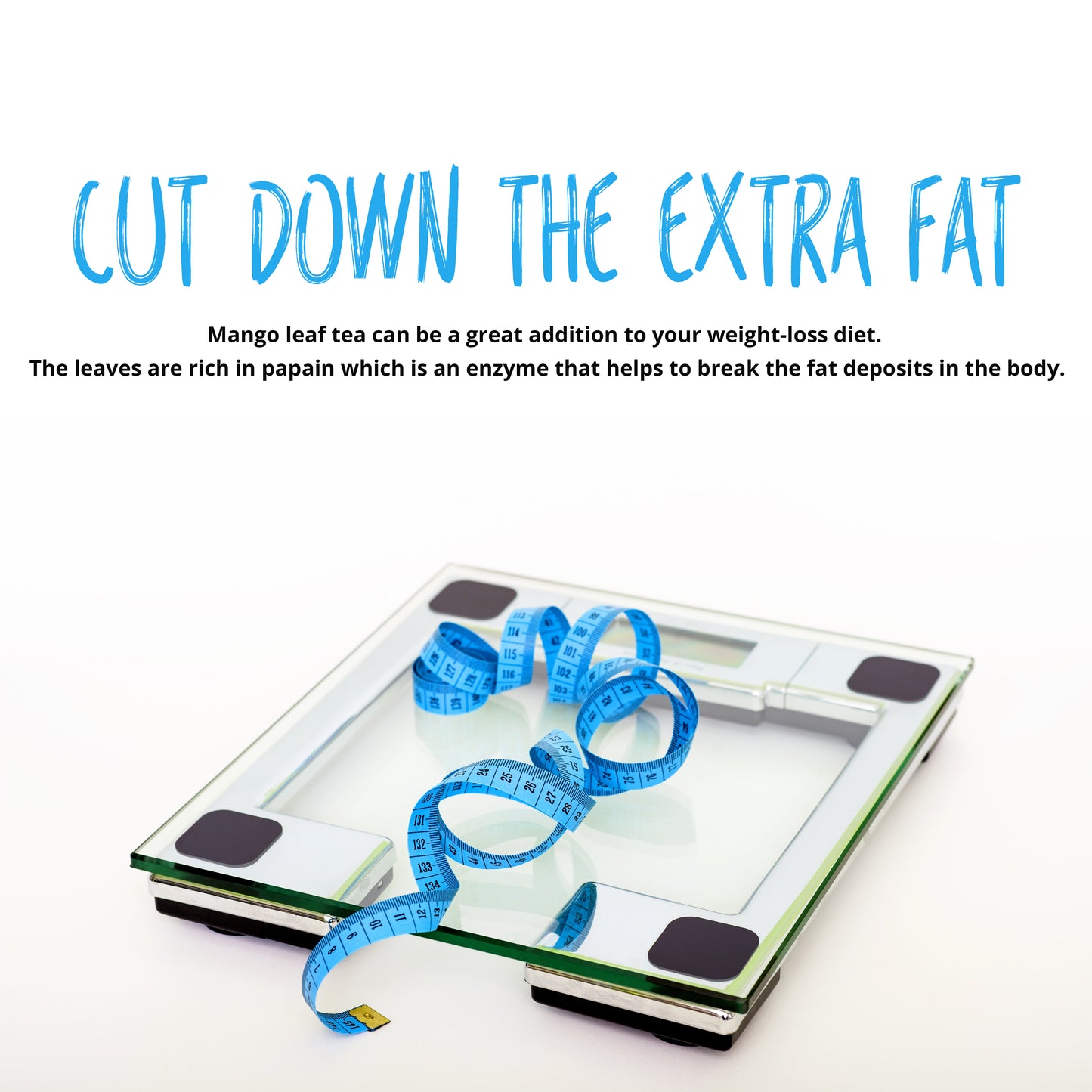 
                  
                    mango leaves help in reducing fat by maintaining weight loss
                  
                