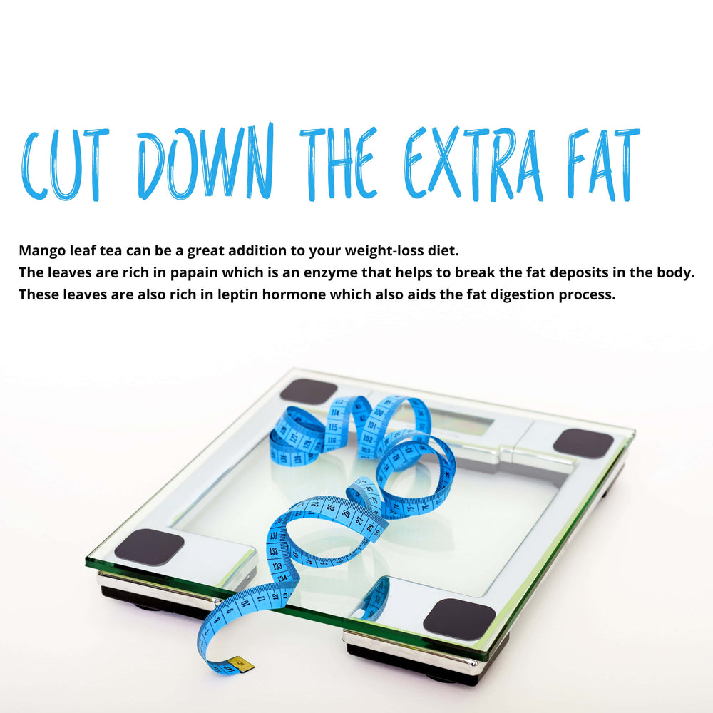 
                  
                    CUT DOWN THE EXTRA FAT :::Mango leaves can also help to cut down the extra fat and are thus considered a great addition to your weight loss diet plan.
                  
                