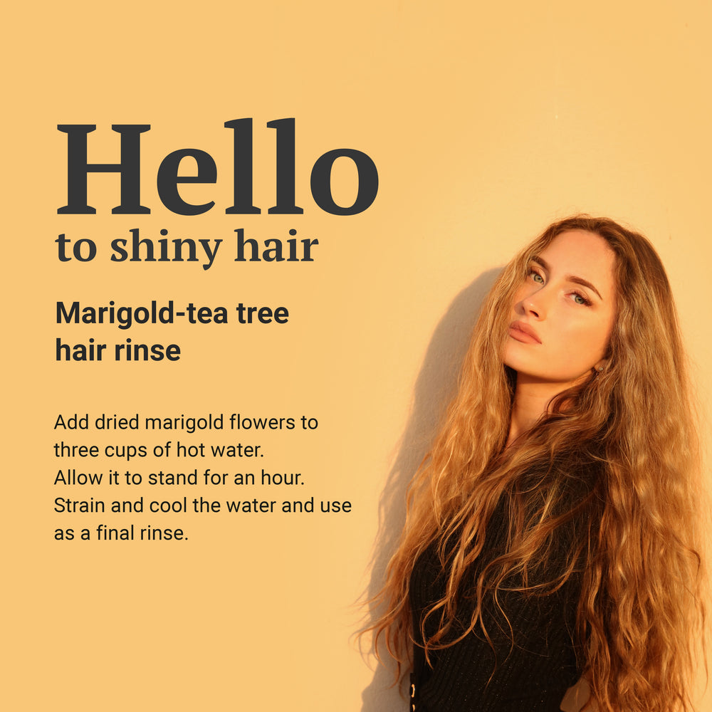 
                  
                    Hello to shiny hair - marigold makes hair shiny - Add dried marigold flowers to three cups of hot water. Allow it to stand for an hour. Strain and cool the water and use as a final rinse
                  
                