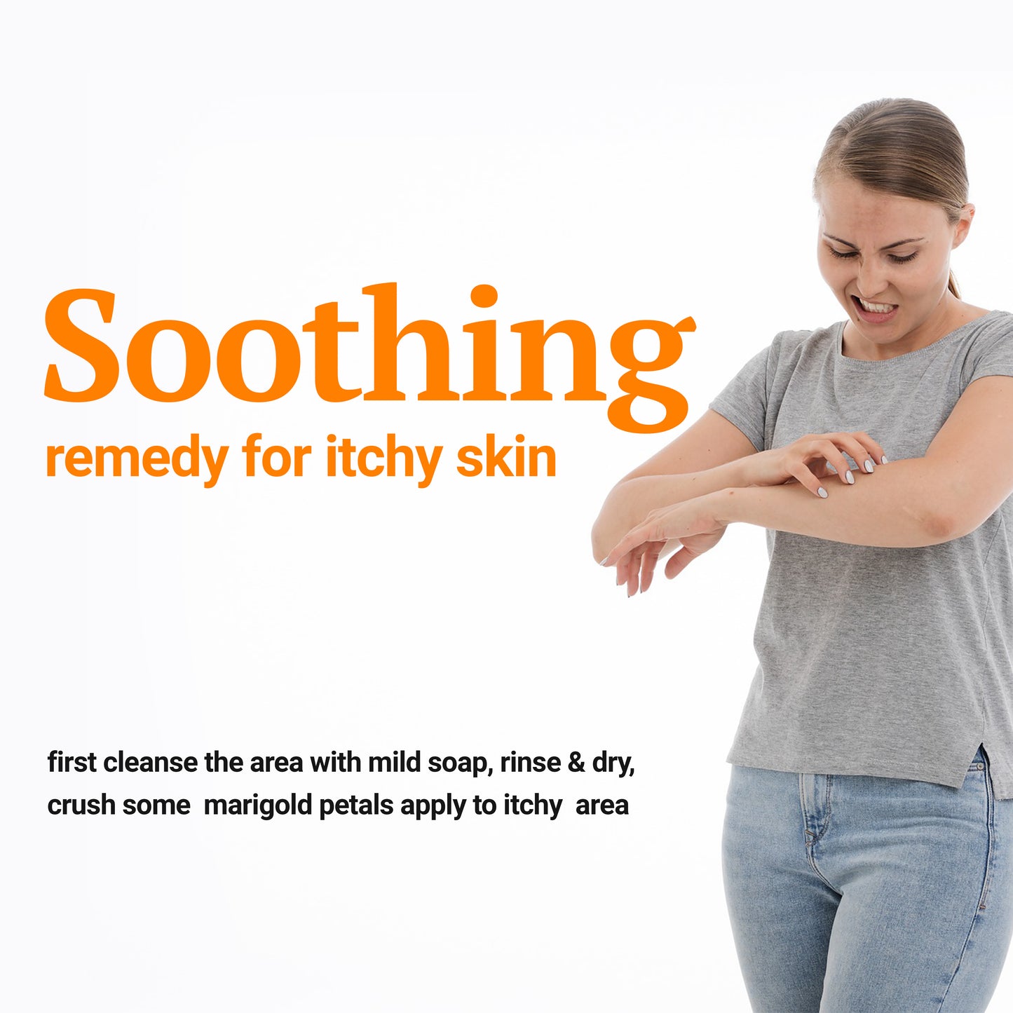 
                  
                    soothing remedy for itchy skin - first cleanse the area with mild soap, rinse & dry, crush some marigold petals apply to itchy area
                  
                