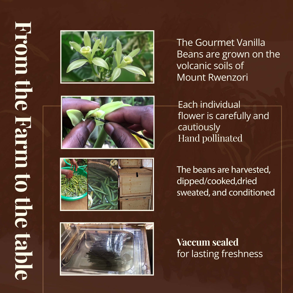 
                  
                    From the farm to the table. The gourmet vanilla beans are grown on the volcanic soils of mount Rwenzori. Each individual flower is carefully and cautiously hand pollinated. - The vanilla beans are harvested, dipped/cooked, dried sweated, and conditioned. - Vacuum scaled vanilla beans for lasting freshness . NY Vanilla | Vanilla Beans Grade A | Gourmet Vanilla Pods | Whole Vanilla Beans | Vanilla bean pods | Vanilla Beans for Making Vanilla Extract
                  
                