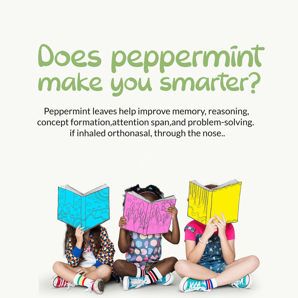 
                  
                    Does peppermint make you smarter? Peppermint leaves help improve memory, reasoning, concept, formation, attention span and problem-solving if inhaled orthonasal through the nose. Akshit Organic Peppermint Leaves 2.4 oz I hojas de menta I Feuilles de menthe poivrée bio Akshit
                  
                