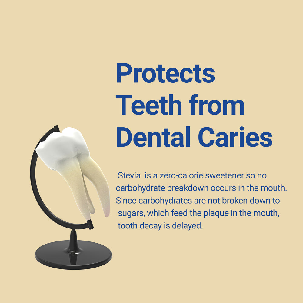 
                  
                    protects teeth from dental caries
                  
                