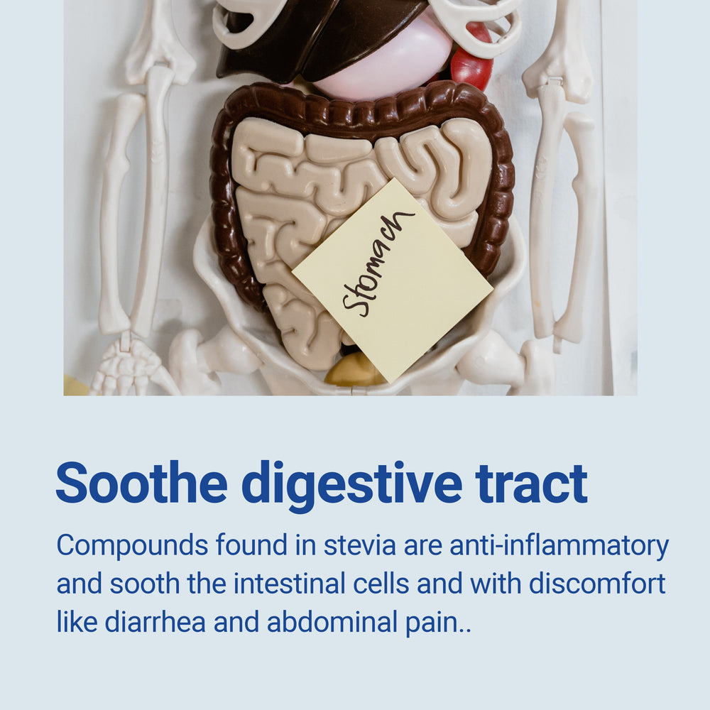 
                  
                    stevia leaves soothe digestive tract
                  
                