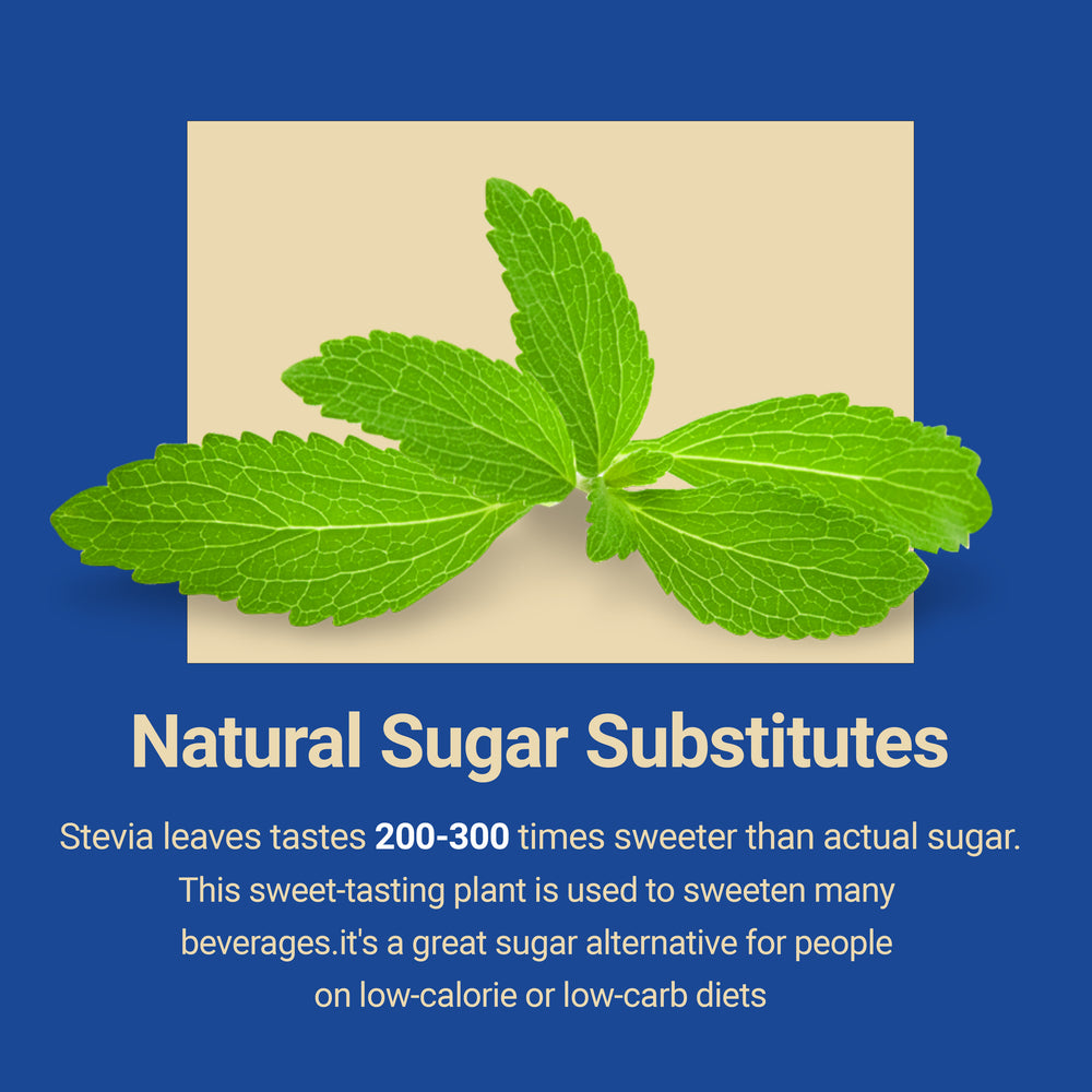 
                  
                    Stevia leaves are natural sugar substitutes
                  
                